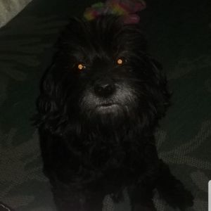 Meet your Posher, Marcos